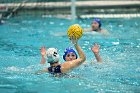 WWPolo vs CC  Wheaton College Women’s Water Polo compete in their sports inaugural match vs Connecticut College. - Photo By: KEITH NORDSTROM : Wheaton, water polo, inaugural